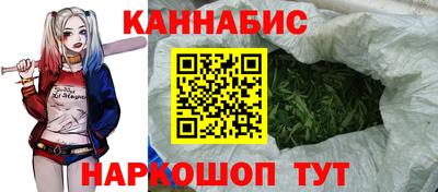 mdpv Ярославль